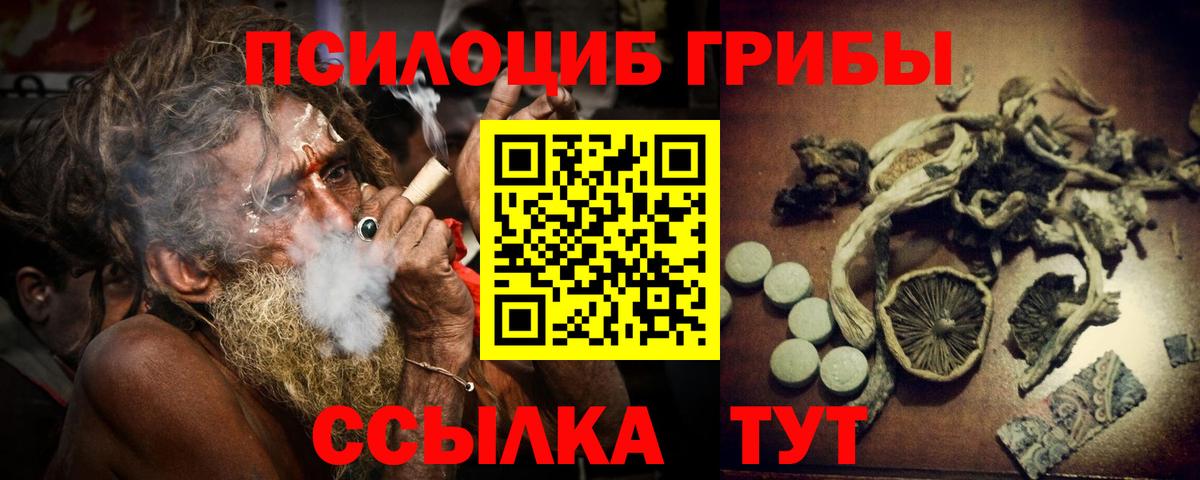 Солнечногорск  Псилоцибиновые грибы Cubensis  Вход с VPN 