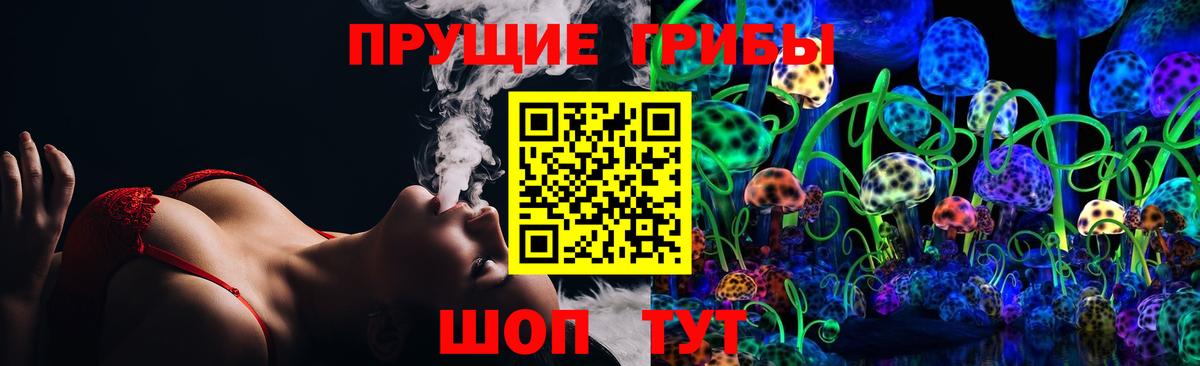 Галлюциногенные грибы Cubensis Солнечногорск